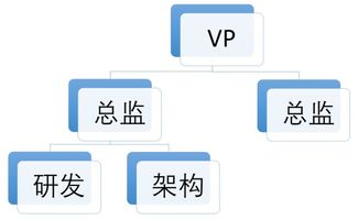 五维协同 研发、产品、架构、业务与项目管理下的多元组织架构建设与市场营销策略融合