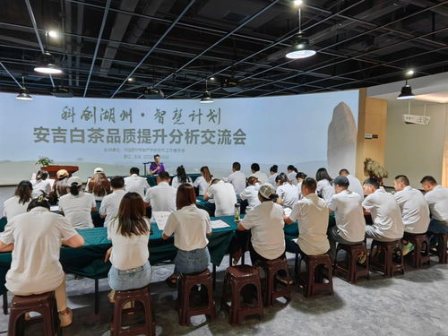 茶韵湖州·智慧赋能——浙江安吉茶产业服务团科创沙龙纪行